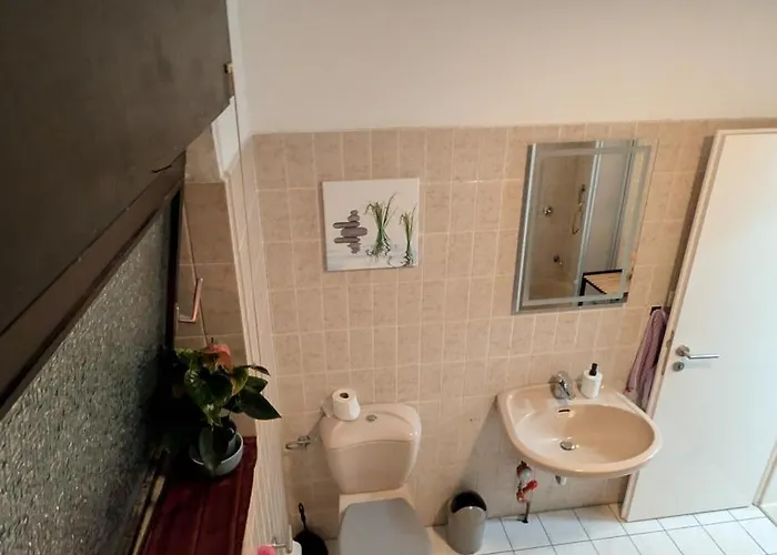 Alex Garden - Eg - Terrasse - Wlan Und Kueche Διαμέρισμα Werne